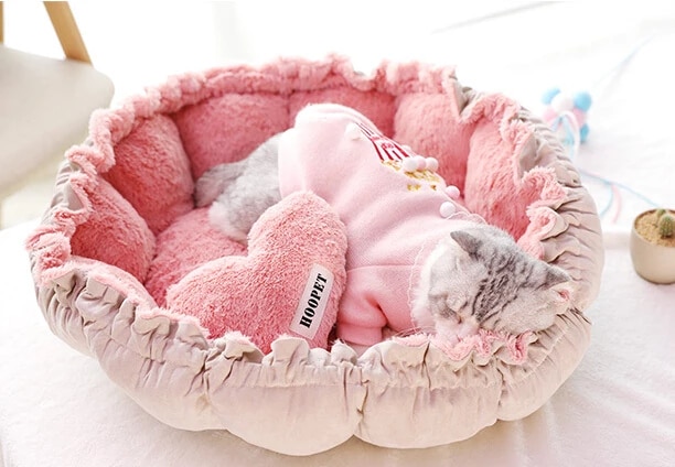 Detail Cat Macaron Bed Nomer 19