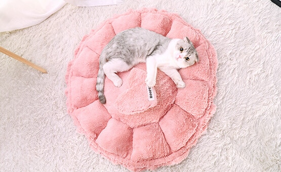 Detail Cat Macaron Bed Nomer 31