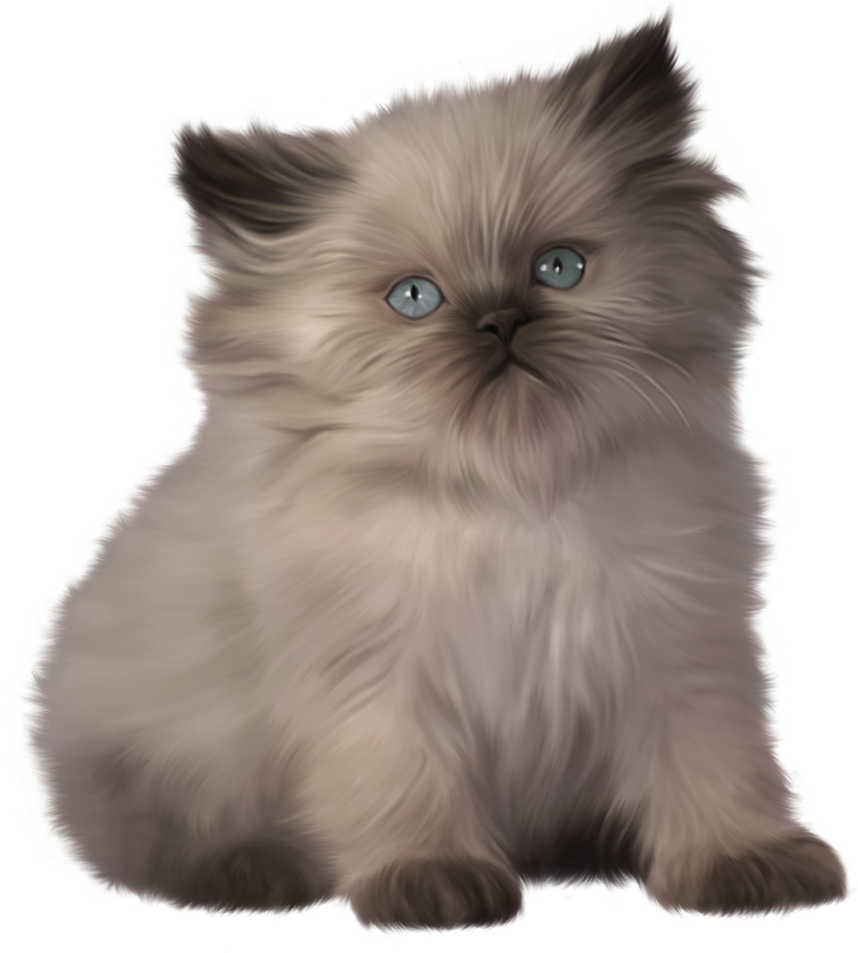 Detail Cat Png Transparent Nomer 51