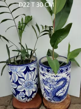 Detail Cat Pot Bunga Nomer 41