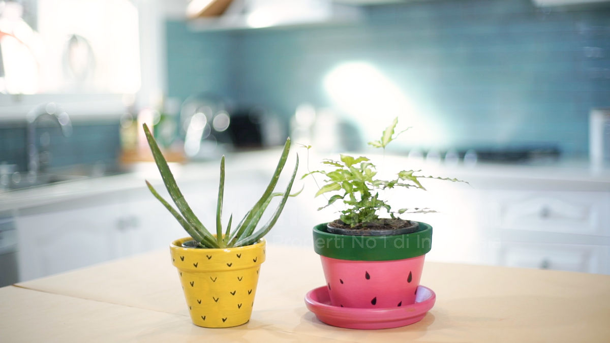Detail Cat Pot Bunga Nomer 6
