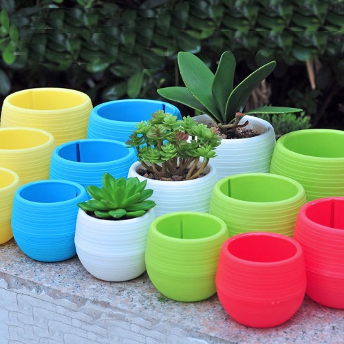 Detail Cat Pot Bunga Warna Warni Nomer 4