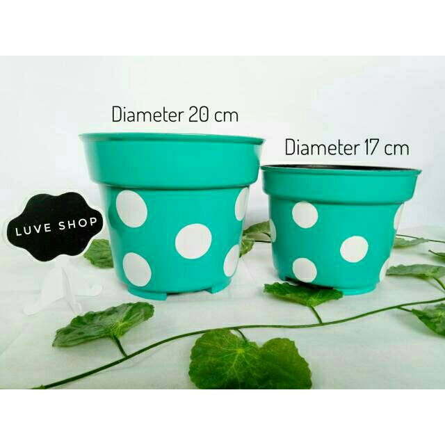 Detail Cat Pot Bunga Warna Warni Nomer 2