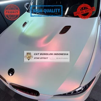 Detail Cat Putih Bunglon Nomer 21