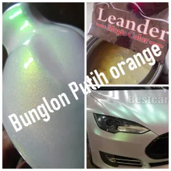 Detail Cat Putih Bunglon Nomer 37