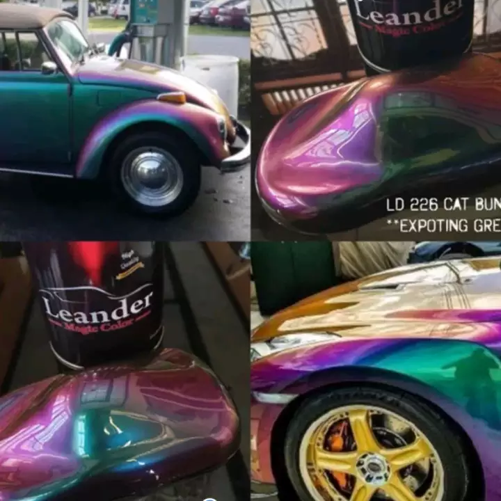 Detail Cat Putih Bunglon Nomer 38