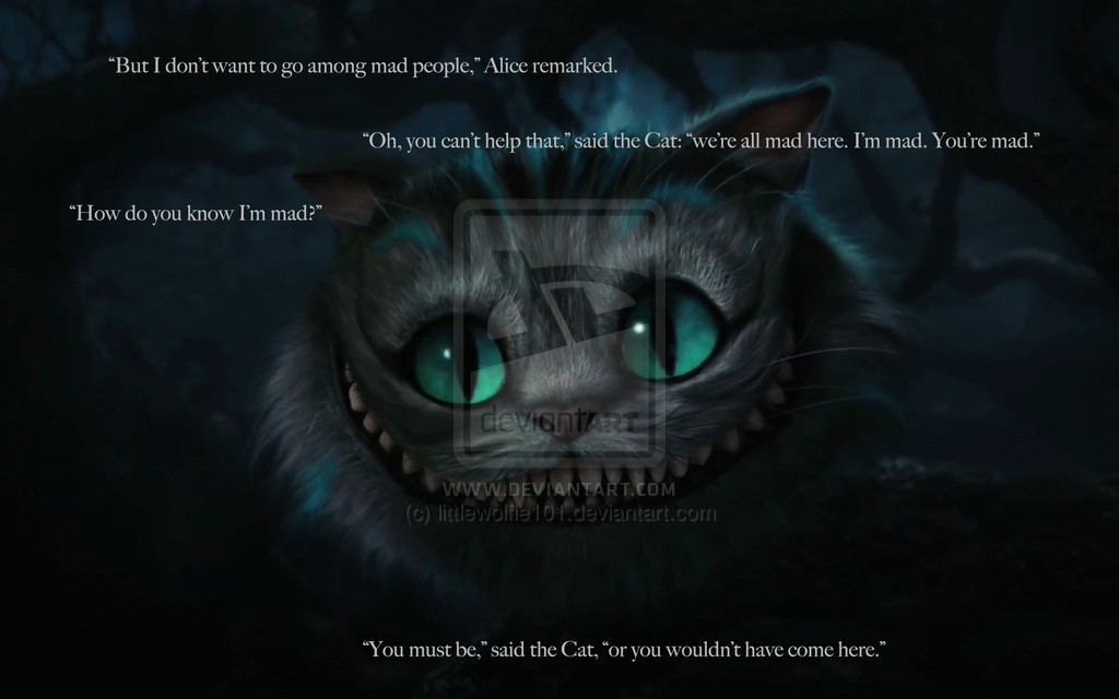 Detail Cat Quotes Tumblr Nomer 46