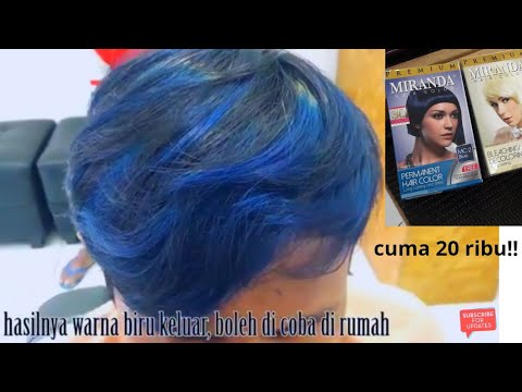 Detail Cat Rambut Biru Dongker Nomer 4