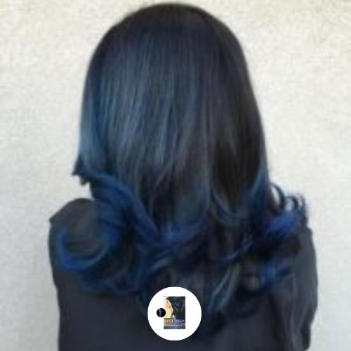 Detail Cat Rambut Biru Dongker Nomer 8