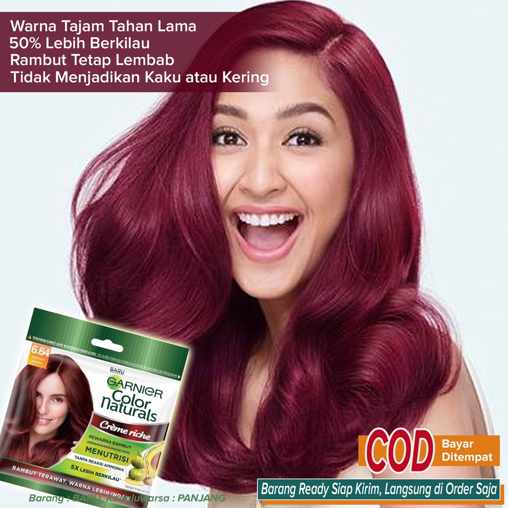 Detail Cat Rambut Garnier Merah Nomer 38