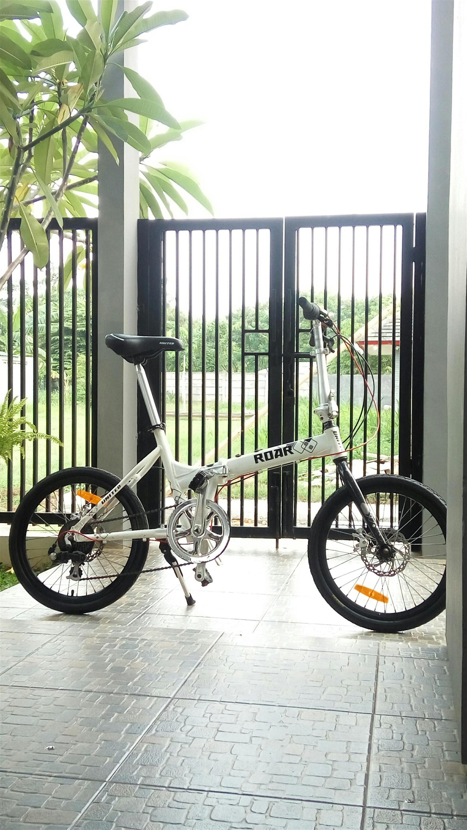 Detail Cat Rangka Frame Sepeda Motif Gambar Cat Frame Nomer 36