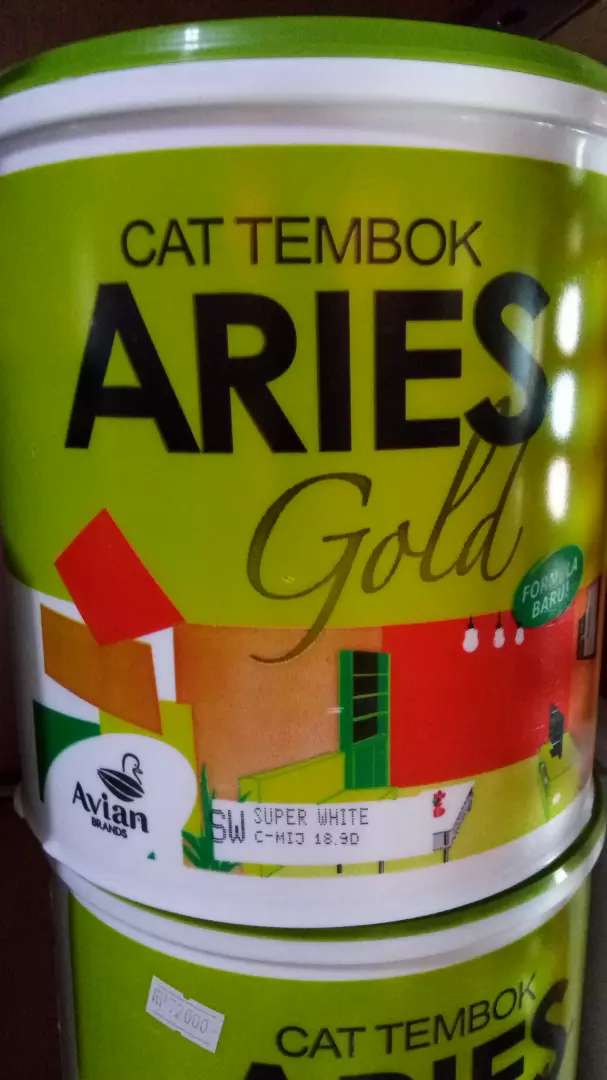 Detail Cat Rumah Aries Nomer 12