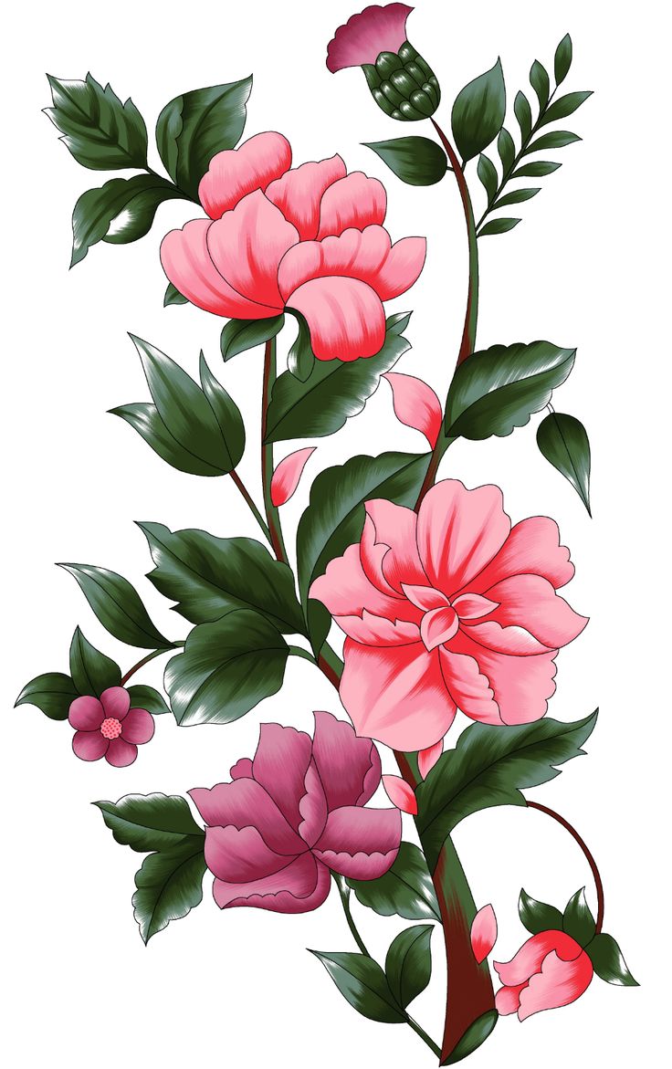 Detail Handy Wallpaper Blumen Nomer 2