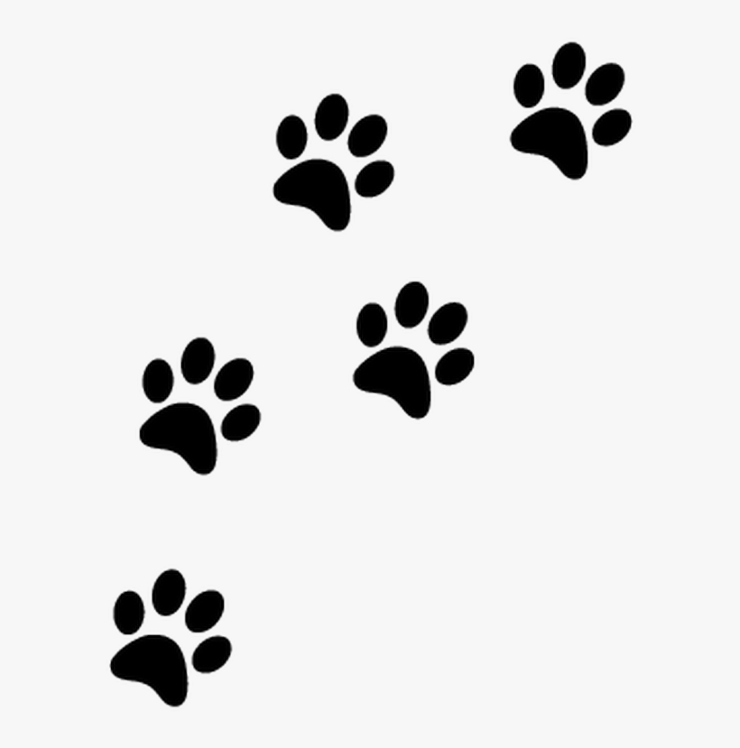 Detail Paws Png Nomer 10