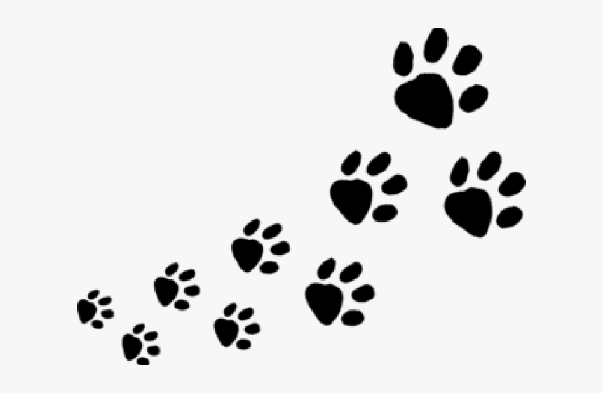 Detail Paws Png Nomer 12