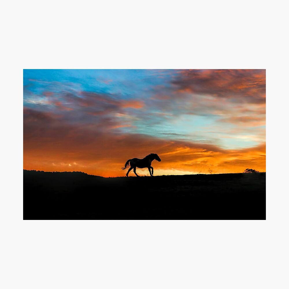 Detail Sonnenuntergang Pferde Bilder Nomer 6