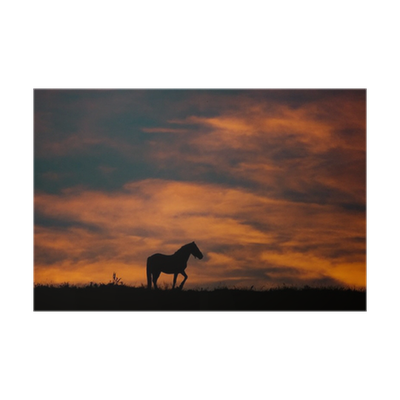 Detail Sonnenuntergang Pferde Bilder Nomer 5