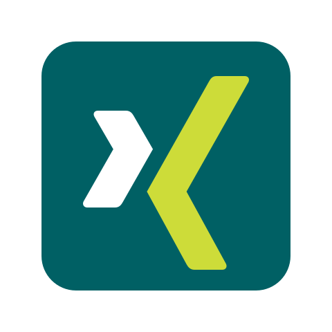 Detail Xing Icon Png Nomer 8