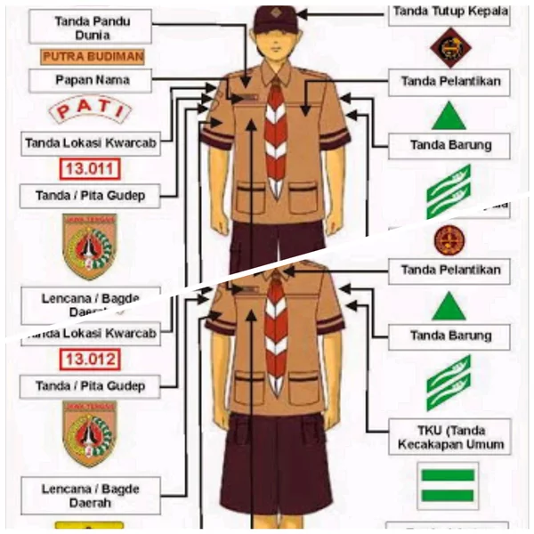 Detail Gambar Atribut Pramuka Nomer 33