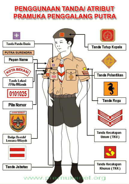 Detail Gambar Atribut Pramuka Lengkap Siaga Nomer 29