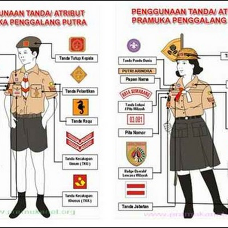 Detail Gambar Atribut Pramuka Lengkap Siaga Nomer 38