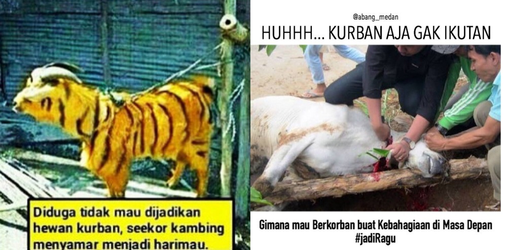 Detail Gambar Awas Foto Lucu Bikin Ngakak Nomer 34