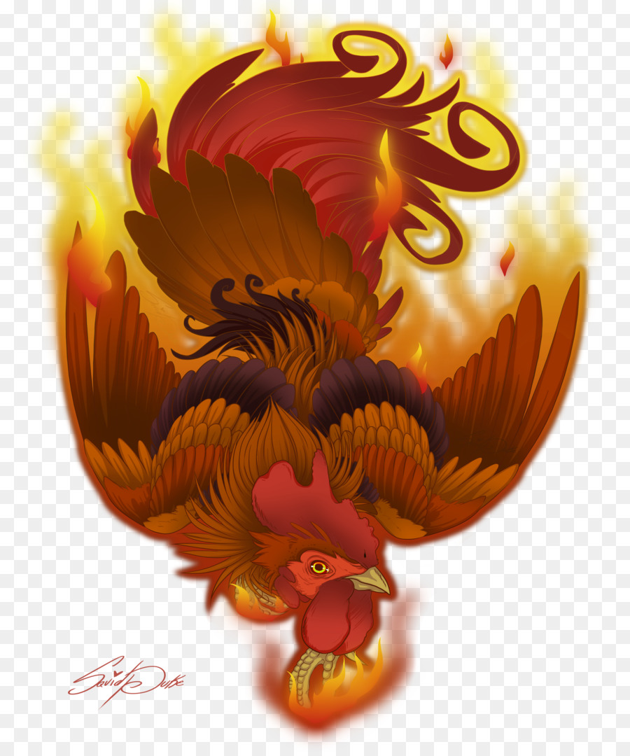 Detail Gambar Ayam Api Nomer 6