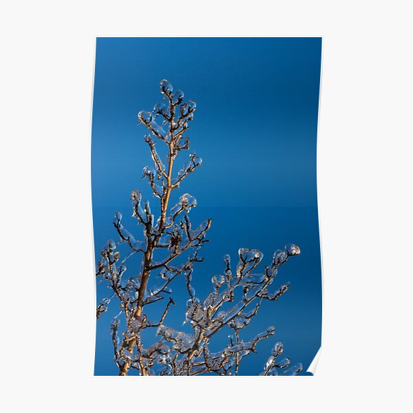 Detail Gefrorener Teich Nomer 24