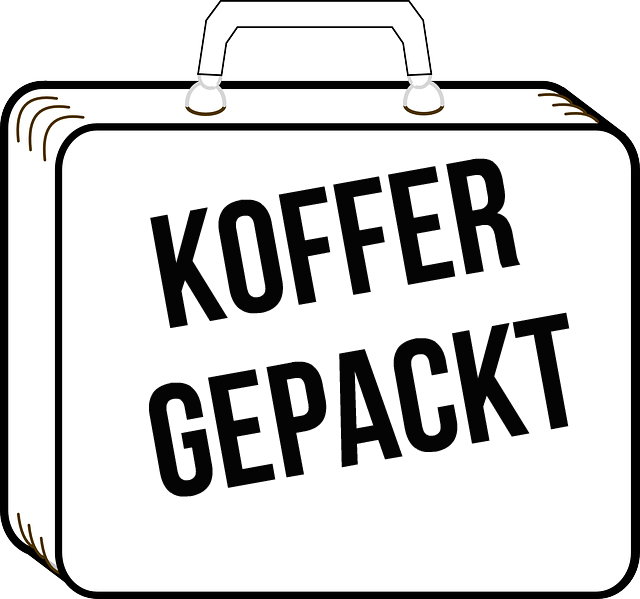 Koffer Gepackt Lustig - KibrisPDR