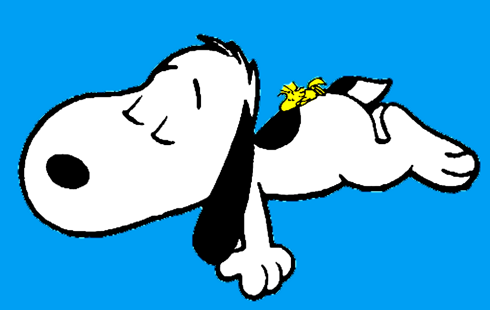 Detail Snoopy Sleeping With Woodstock Nomer 13