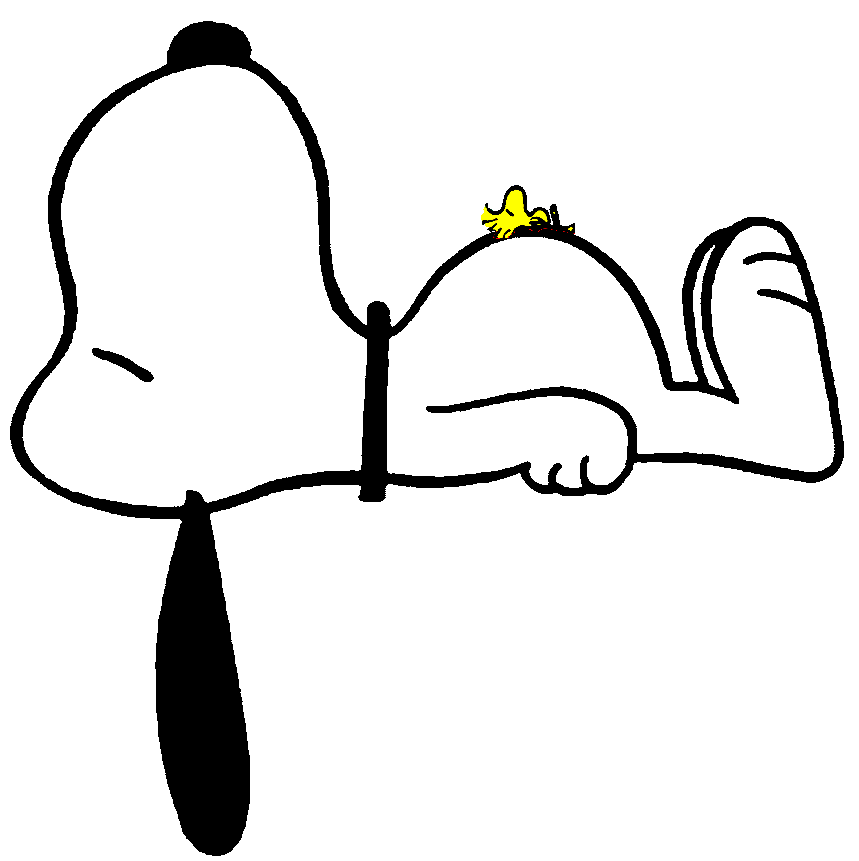 Detail Snoopy Sleeping With Woodstock Nomer 6