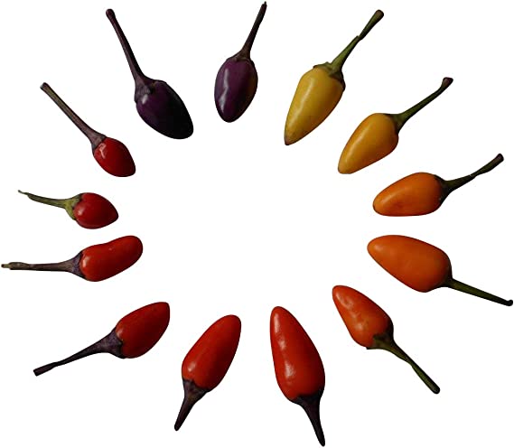 Detail Chilli Mind Nomer 8