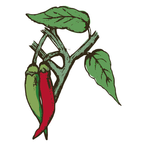 Detail Chilli Mind Nomer 9