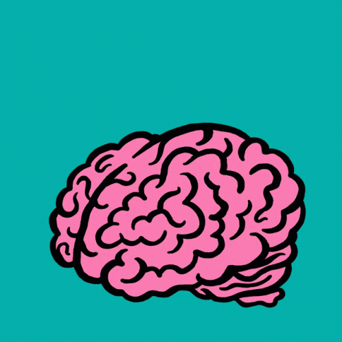 Detail Chilli Mind Nomer 18