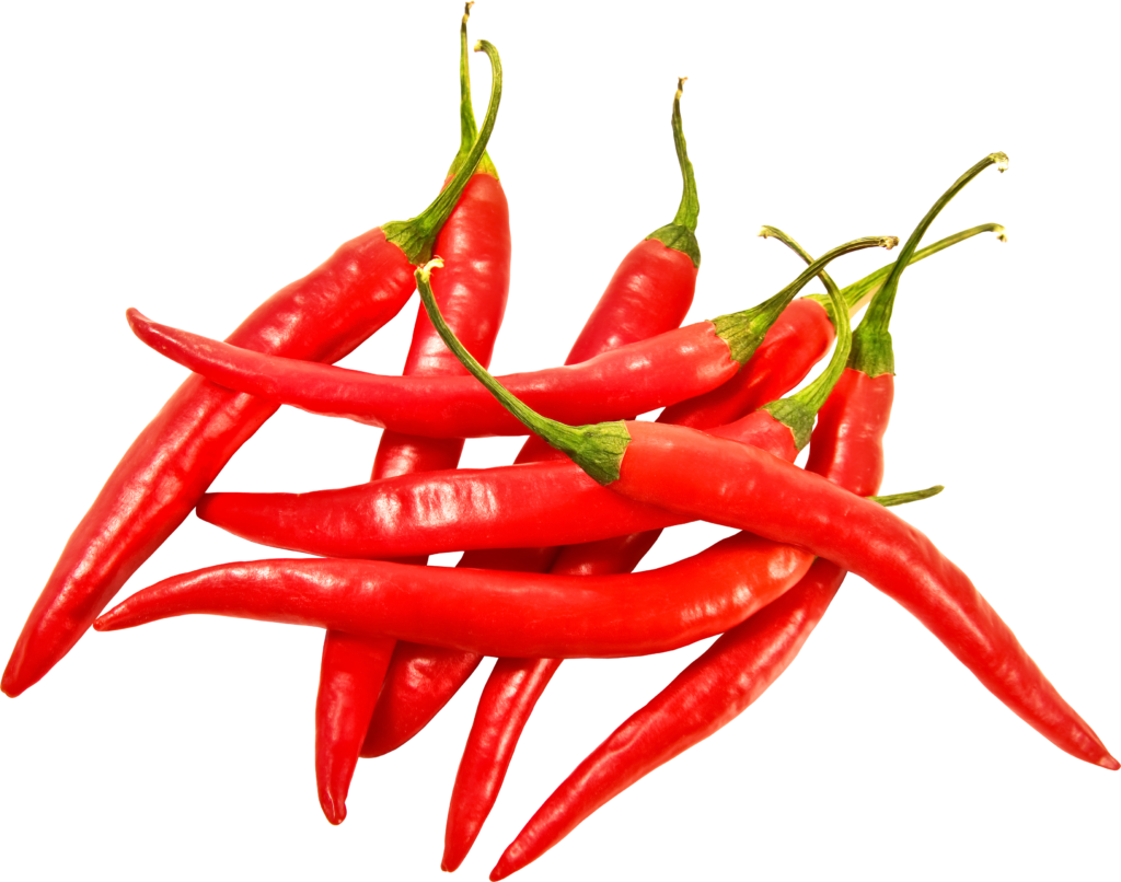Detail Chilli Mind Nomer 5