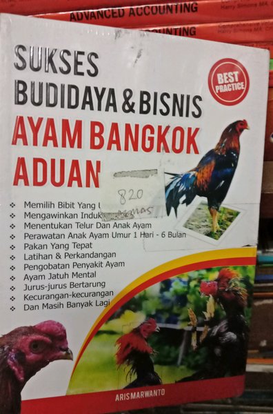 Detail Gambar Ayam Bangkok Aduan Nomer 37