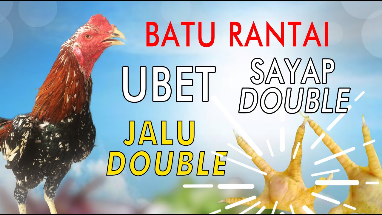 Detail Gambar Ayam Batu Rante Tembus Nomer 4