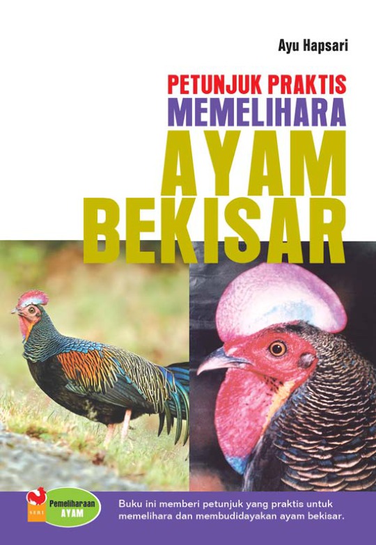 Detail Gambar Ayam Bekisar Nomer 24