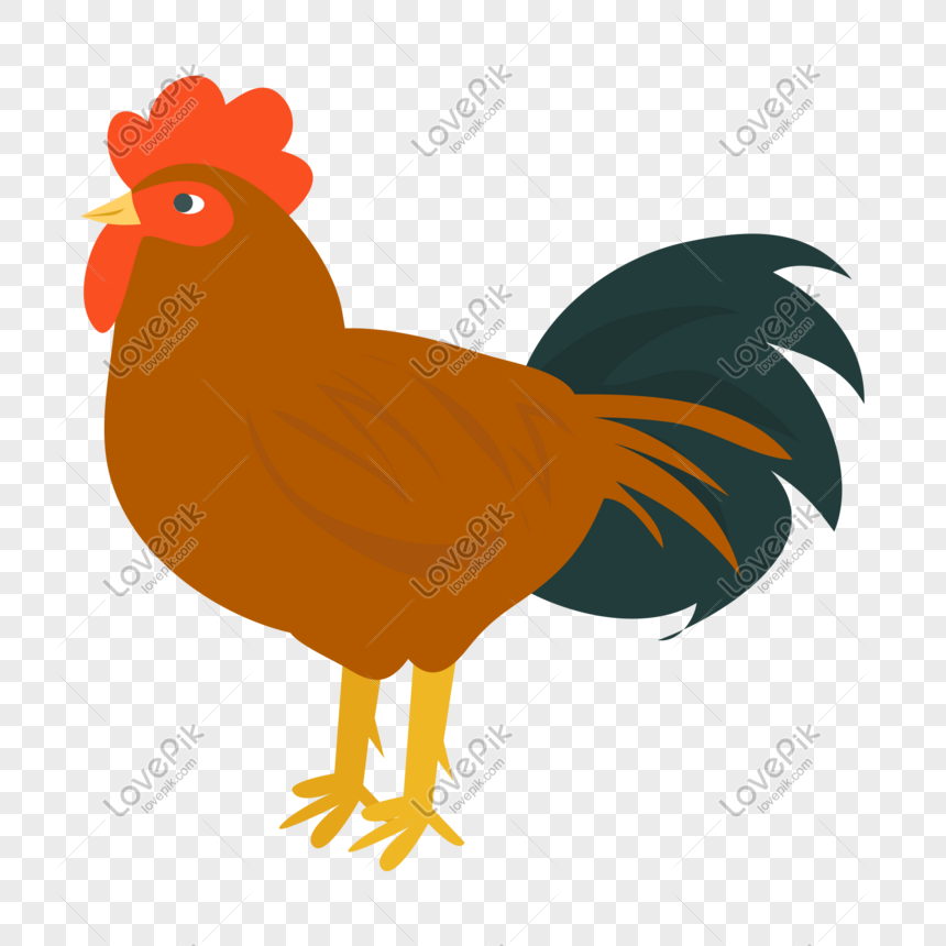 Detail Gambar Ayam Cartoon Nomer 22