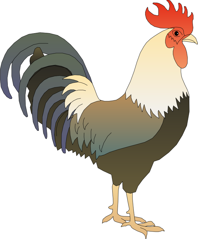 Detail Gambar Ayam Clipart Nomer 2