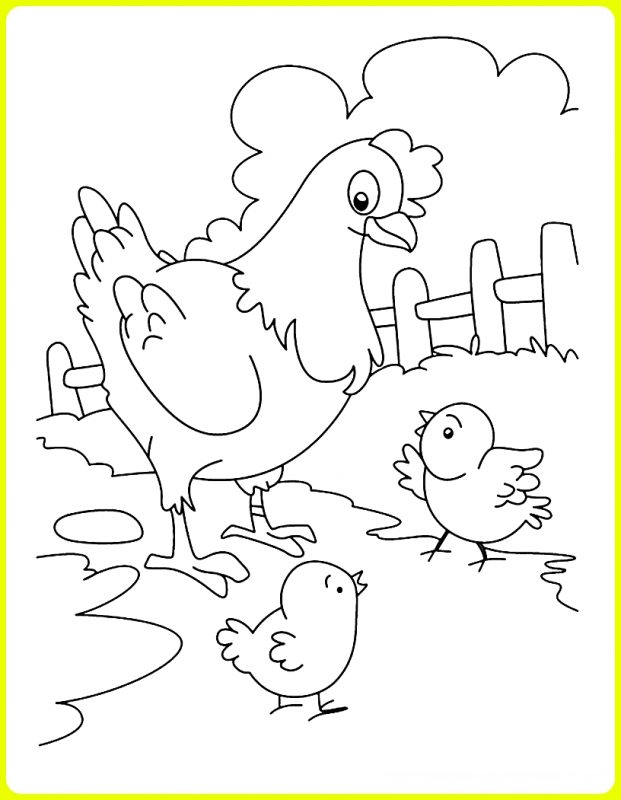 Detail Gambar Ayam Dan Anaknya Nomer 16