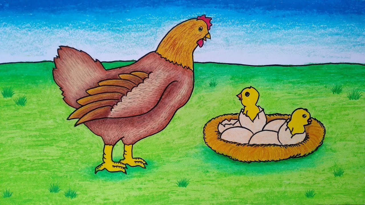 Detail Gambar Ayam Dan Anaknya Nomer 6