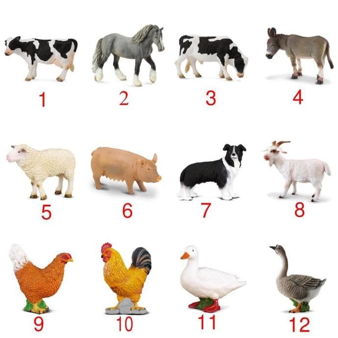 Detail Gambar Ayam Dan Kambing Nomer 5