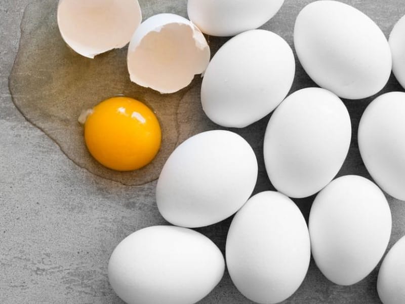 Detail Gambar Ayam Dan Telur Nomer 35