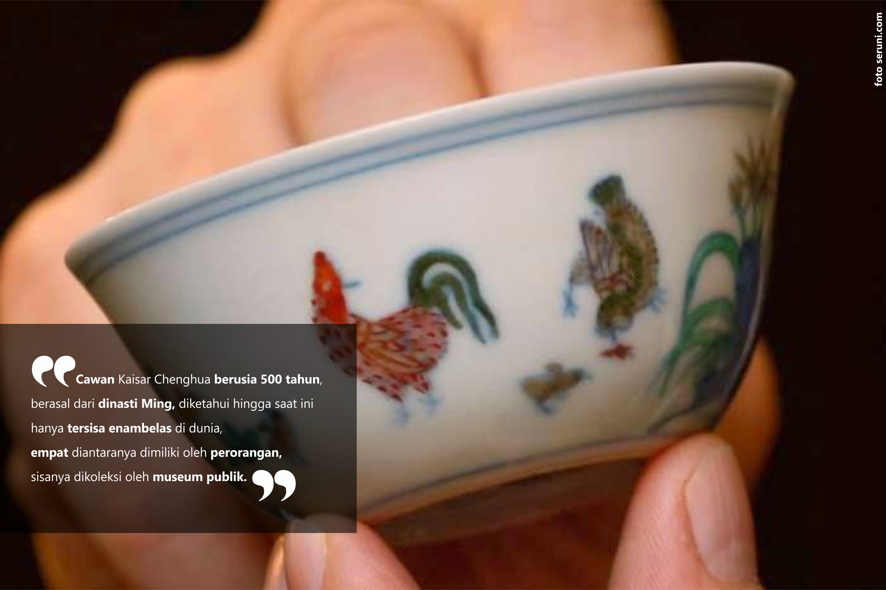 Detail Gambar Ayam Di Mangkok Nomer 42