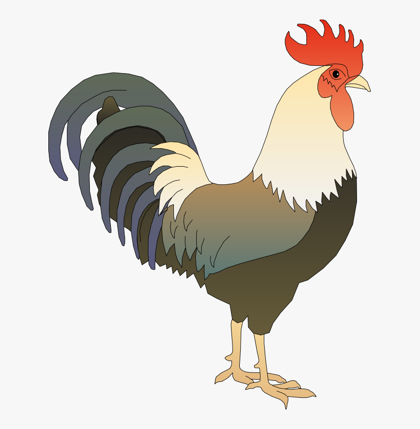 Gambar Ayam Gambar Ayam - KibrisPDR