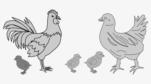 Detail Gambar Ayam Gambar Ayam Nomer 25