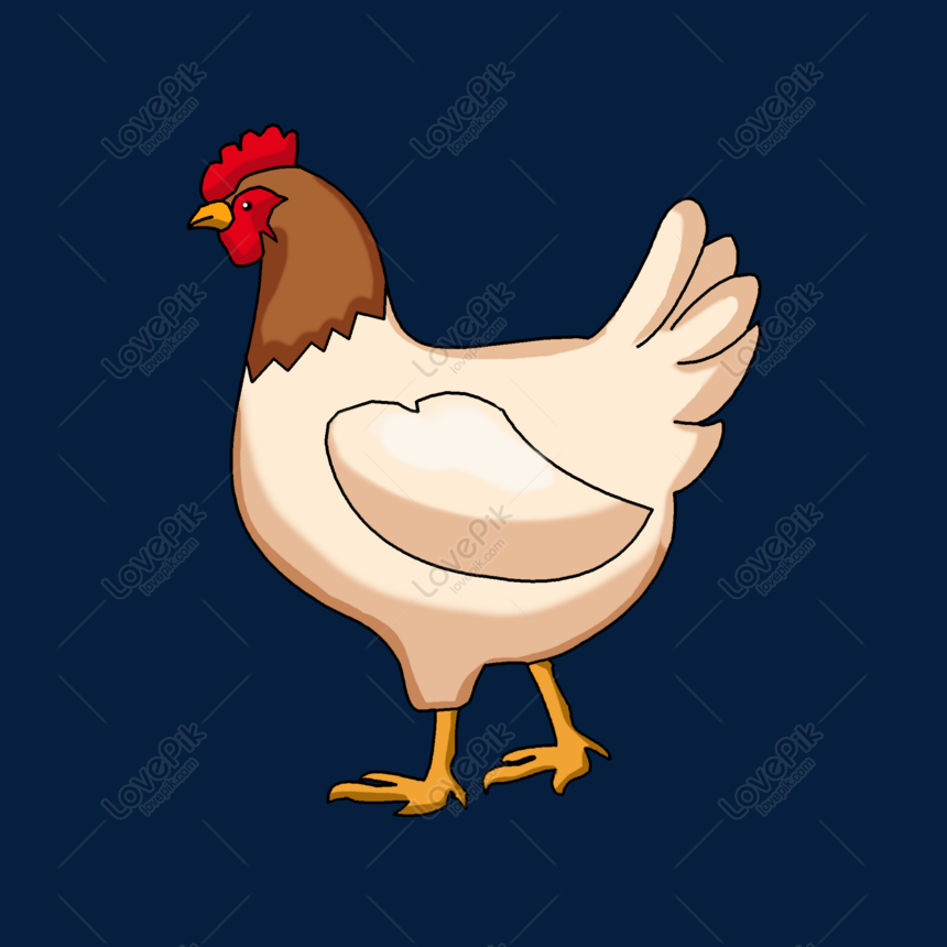 Detail Gambar Ayam Gambar Ayam Nomer 36