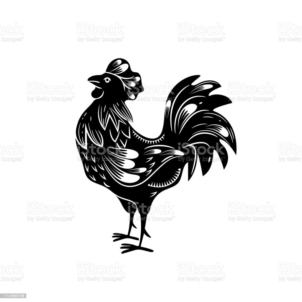 Detail Gambar Ayam Hitam Putih Nomer 26