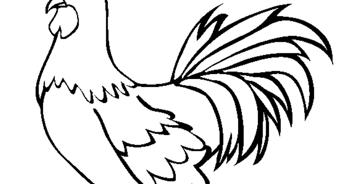 Detail Gambar Ayam Hitam Putih Nomer 50